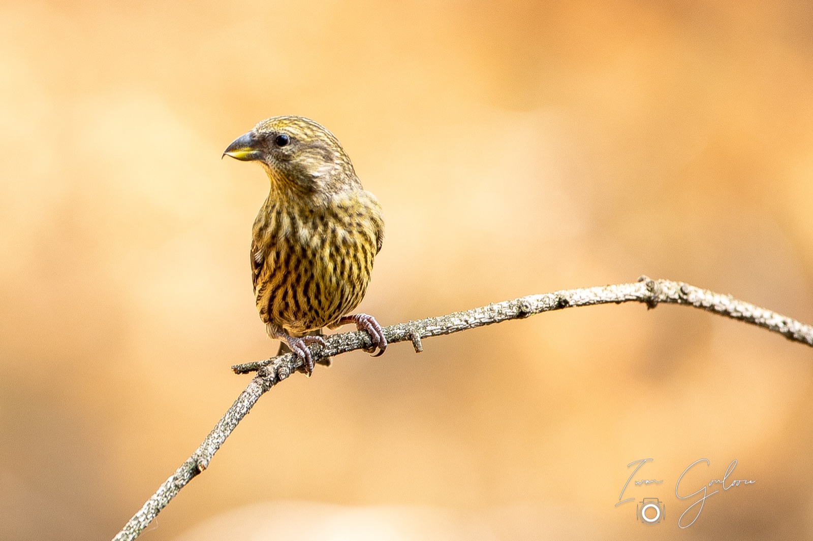 27 april 2022 150930  5D47993